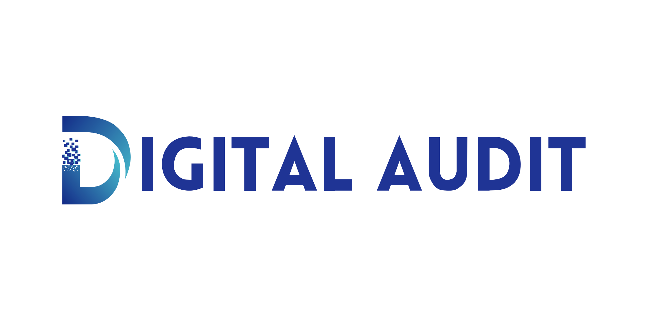 Digital Audit